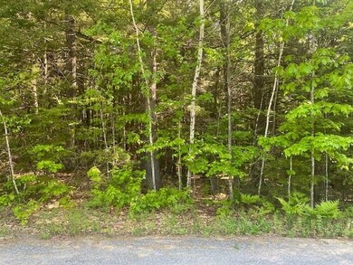 0 Baldwin Ave unit 7 4911642, New Hampton, NH 03256 - photo 2