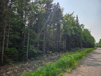 0 W Cedar Dr unit 24-1105, Sault Ste Marie, MI 49783 - photo 3