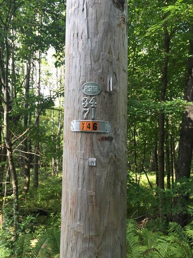 00 South Rd, Bethlehem, NH 03574 - photo 3