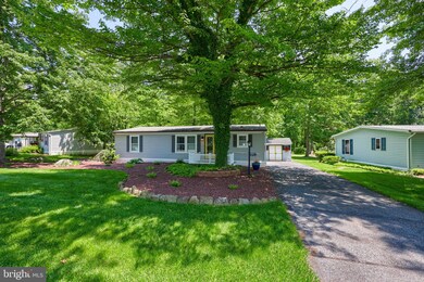 101 Maple Ave, Manheim, PA 17545 - photo 5