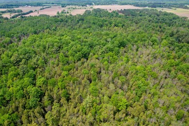 E5254 E Circle j Rd, Marion, WI 54950 - photo 7