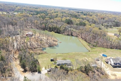 14491 Valley View, Byhalia, MS 38611 - photo 5