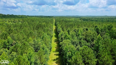 0 Attala Rd 3217 New Salem Rd, Kosciusko, MS 39090 - photo 6