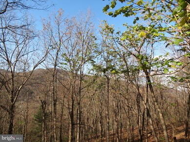 67 Briar Ridge Ln, Sperryville, VA 22740 - photo 4