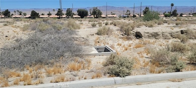 34361 Thomas Ct, Thousand Palms, CA 92276 - photo 3