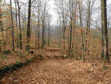 0 Happy Hollow Rd unit 4618716, Huntington, VT 05462 - photo 2