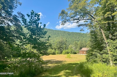 4382 River Rd, Equinunk, PA 18417 - photo 6