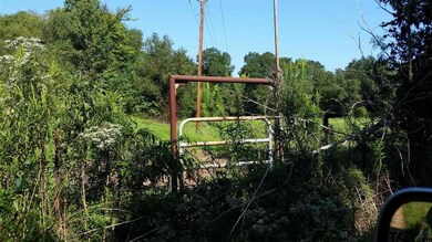 18497 Fm 850, Arp, TX 75750 - photo 7