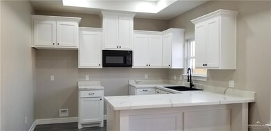 808 Blue Quail St, Alamo, TX 78516 - photo 5