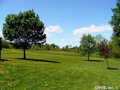 Yard/Garden HUGE BACK YARD WITH BEAUTIFUL VIEWS !!