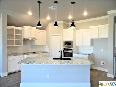 2511 Emerald Dove Dr, Temple, TX 76502 - photo 7