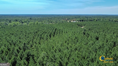 0 Montgomery Rd, Mauk, GA 31058 - photo 3