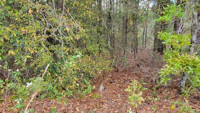 Wooded Lot 0.25 acres