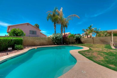 020_Pool and Grassy Backyard