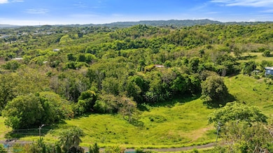 KM 16.4 Carr 115 unit Solar A, Rincon, PR 00677 - photo 3