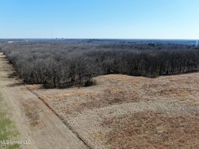 252 Shinpoch Ln, Olive Branch, MS 38654 - photo 7