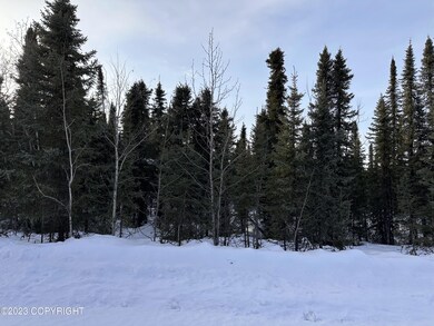IMG_9646_L6