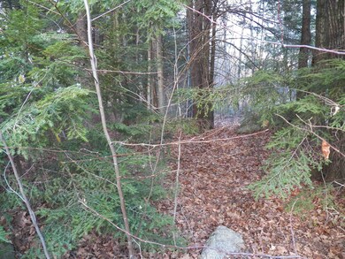 014-110 Deerpoint Dr, Hillsborough, NH 03244 - photo 3