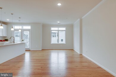 1006 Ribbon Limestone Terrace SE, Leesburg, VA 20175 - photo 4