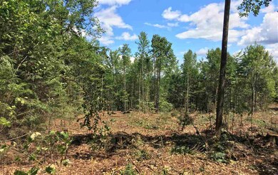 0 Heritage Hill Rd unit 13 & 14 4647539, Conway, NH 03813 - photo 4