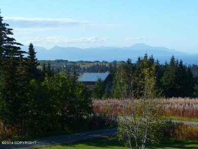 View of Mountains and Cook Inlet