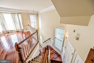 4637 Knight Place, Alexandria, VA 22311 - photo 5