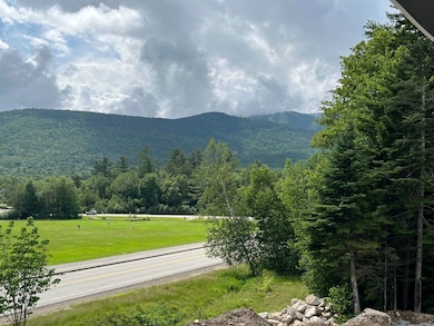 15 Bull Hill Way unit 7, Waterville Valley, NH 03215 - photo 3