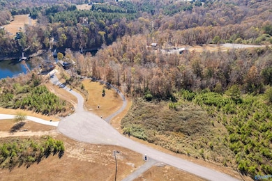 Lot 7 County Road 373, Crane Hill, AL 35053 - photo 2