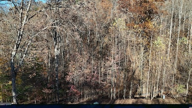 LOT 198 N Shore Dr, Cleveland, GA 30528 - photo 3