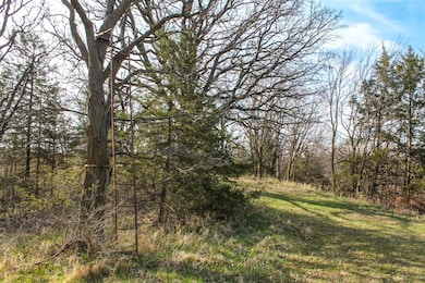 000 300th St, Coon Rapids, IA 50058 - photo 6