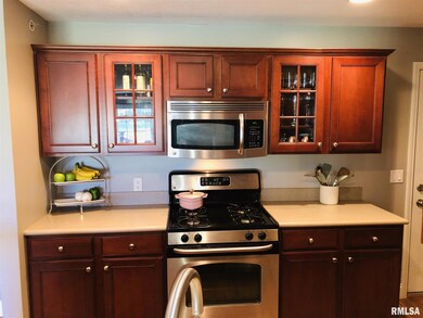 4529 N Tallgrass Ln unit 106D, Peoria, IL 61615 - photo 3