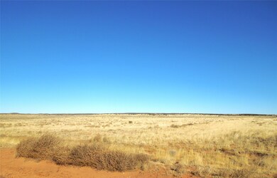 Lot 20-22 Block 8 Tract 12, Estancia, NM 87016 - photo 3