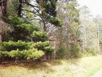 0 Hwy A unit 4662381, Webster, WI 54893 - photo 5