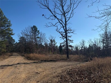 1 Rd, Fredericktown, MO 63645 - photo 7