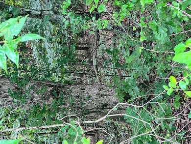 0 Wiley Prigmore Ln, Decatur, TN 37322 - photo 5