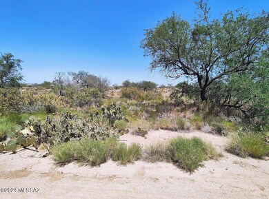 13471 Bruckner Ave unit 416, Tucson, AZ 85736 - photo 2