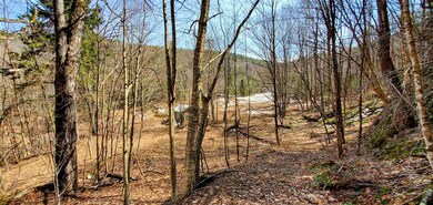 00 Cobb Hill Rd, Moretown, VT 05660 - photo 2