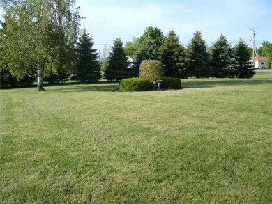 Yard/Garden FRONT YARD