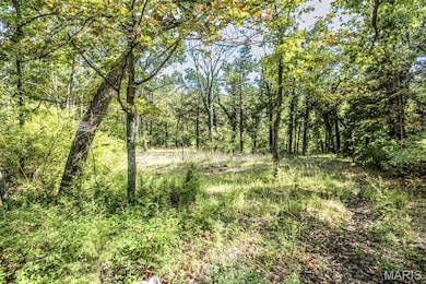 6302 Upper Byrnes Mill Rd, Byrnes Mill, MO 63051 - photo 6