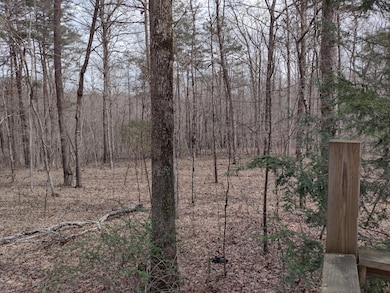 IMG_20250402_141236338_HDR