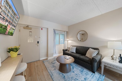 335 Wrigley Dr unit 308, Lake Geneva, WI 53147 - photo 3