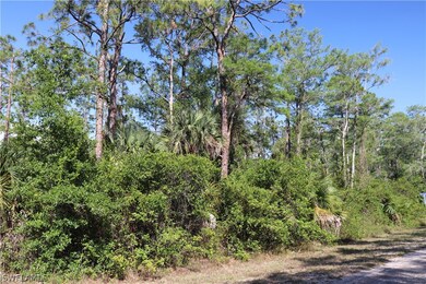 310 Lakeridge Blvd, Lehigh Acres, FL 33972 - photo 5