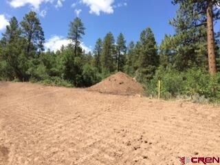 0 Calico Ct unit 696694, Durango, CO 81301 - photo 5