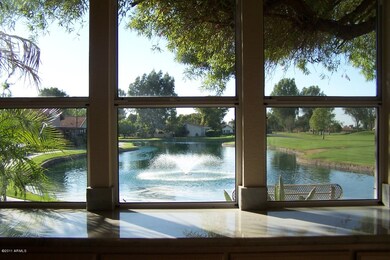 View From Kitchen