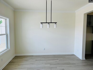 417 Destiny Farm Ln, Blythewood, SC 29016 - photo 6