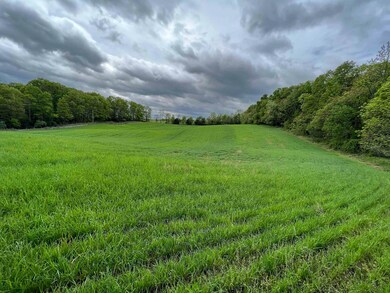 TBD Land Grant Rd, Mount Jackson, VA 22842 - photo 2