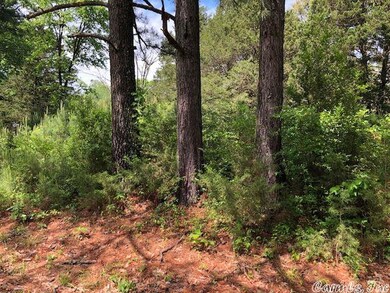 0 Randall Ave unit 22022383, Heber Springs, AR 72543 - photo 2