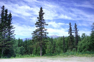 lupine (30)