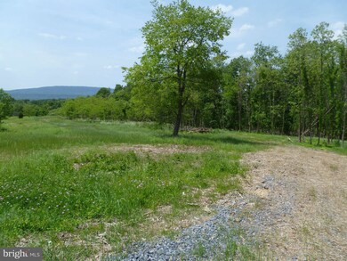 0 Magnolia unit 1000168213, Paw Paw, WV 25434 - photo 6