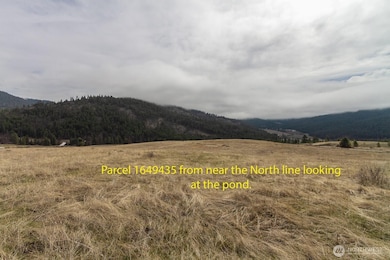 3600 Block Beck Rd, Rice, WA 99167 - photo 3